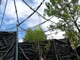 BritneyQuenn18's Live Sex Cam Show