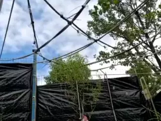 BritneyQuenn18's Live Sex Cam Show