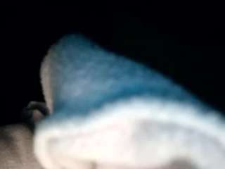Britneyquenn18