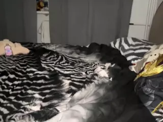 ShirleyRoss's Live Sex Cam Show