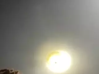 SPONGEBOBLOVER's Live Sex Cam Show