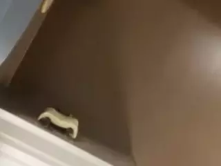 SPONGEBOBLOVER's Live Sex Cam Show