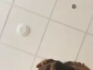 SPONGEBOBLOVER's Live Sex Cam Show
