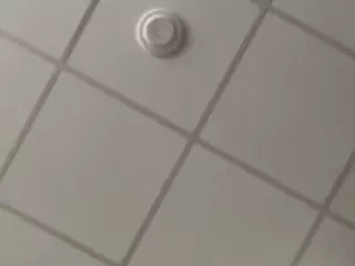 SPONGEBOBLOVER's Live Sex Cam Show