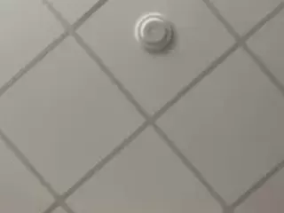 SPONGEBOBLOVER's Live Sex Cam Show