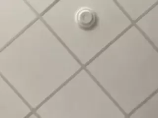 SPONGEBOBLOVER's Live Sex Cam Show