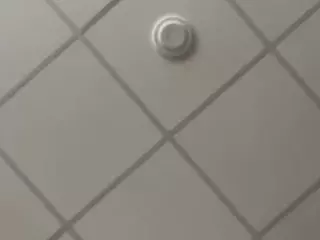SPONGEBOBLOVER's Live Sex Cam Show