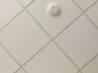 SPONGEBOBLOVER's Live Sex Cam Show