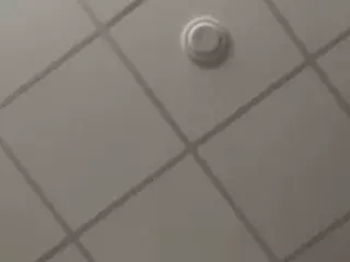 SPONGEBOBLOVER's Live Sex Cam Show