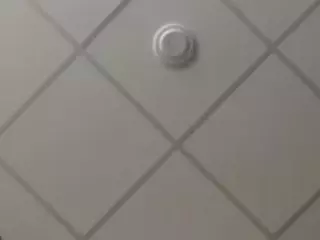 SPONGEBOBLOVER's Live Sex Cam Show