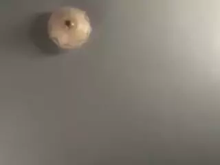 SPONGEBOBLOVER's Live Sex Cam Show