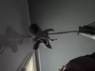 SPONGEBOBLOVER's Live Sex Cam Show