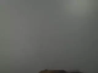 SPONGEBOBLOVER's Live Sex Cam Show