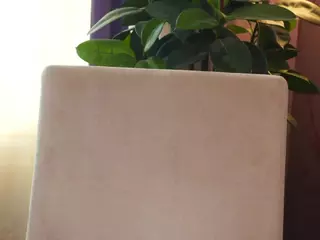 OdelynFarlow's Live Sex Cam Show
