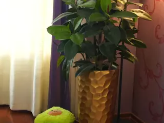 OdelynFarlow's Live Sex Cam Show