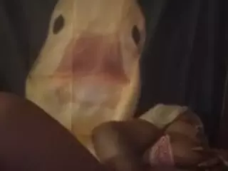 ladylucid's Live Sex Cam Show