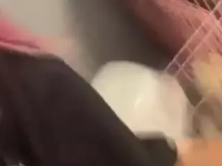 X3Nuzzels's Live Sex Cam Show