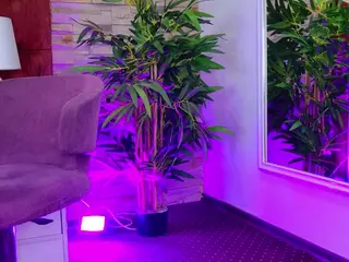 JessyBee's Live Sex Cam Show