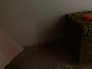 karliehill's Live Sex Cam Show