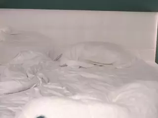 ErlineBelow's Live Sex Cam Show