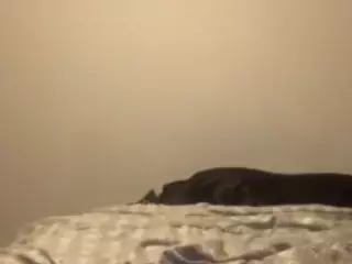 KayndJay's Live Sex Cam Show