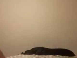 KayndJay's Live Sex Cam Show