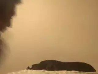 KayndJay's Live Sex Cam Show