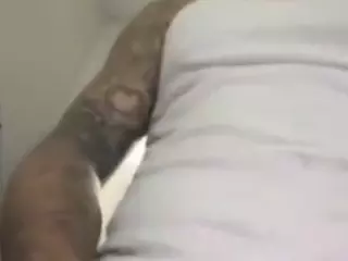 rambo713000's Live Sex Cam Show