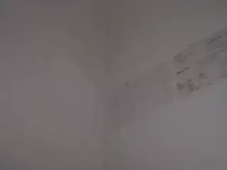 planetvee's Live Sex Cam Show
