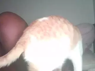 planetvee's Live Sex Cam Show