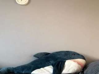 Davidlovensheimer