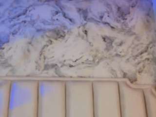 Live cam show with Tamara-Ferrer