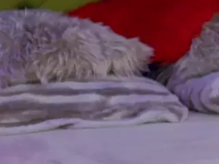 LadyTouch's Live Sex Cam Show