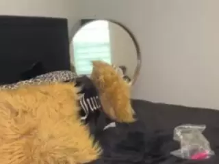 LaylaRed's Live Sex Cam Show