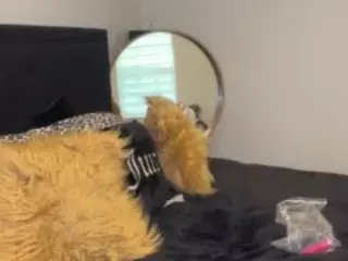 LaylaRed's Live Sex Cam Show