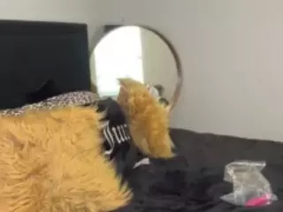 LaylaRed's Live Sex Cam Show