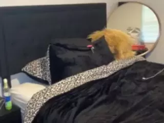 LaylaRed's Live Sex Cam Show