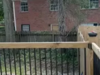 LaylaRed's Live Sex Cam Show