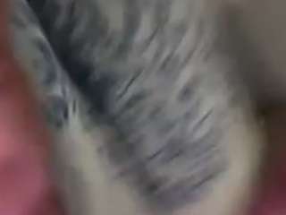 Laylared