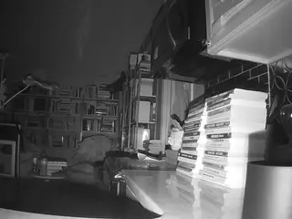 voyeurcam bridgetleewalters 02's Live Sex Cam Show