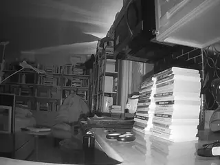 voyeurcam bridgetleewalters 02's Live Sex Cam Show