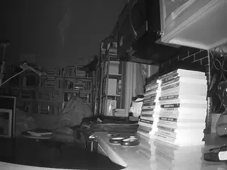 voyeurcam bridgetleewalters 02's Live Sex Cam Show