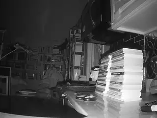 voyeurcam bridgetleewalters 02's Live Sex Cam Show