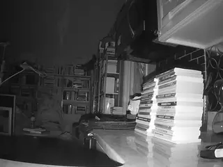 voyeurcam bridgetleewalters 02's Live Sex Cam Show