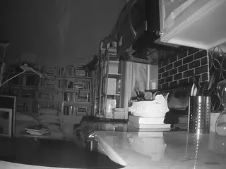 voyeurcam bridgetleewalters 02's Live Sex Cam Show