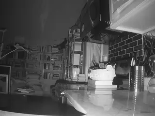 voyeurcam bridgetleewalters 02's Live Sex Cam Show