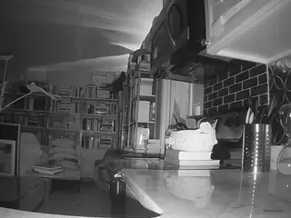 voyeurcam bridgetleewalters 02's Live Sex Cam Show