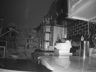 voyeurcam bridgetleewalters 02's Live Sex Cam Show
