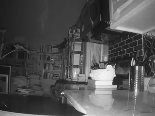 voyeurcam bridgetleewalters 02's Live Sex Cam Show