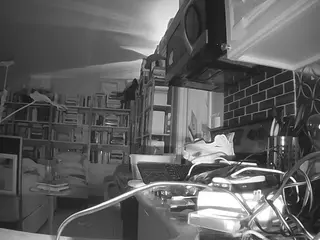voyeurcam bridgetleewalters 02's Live Sex Cam Show